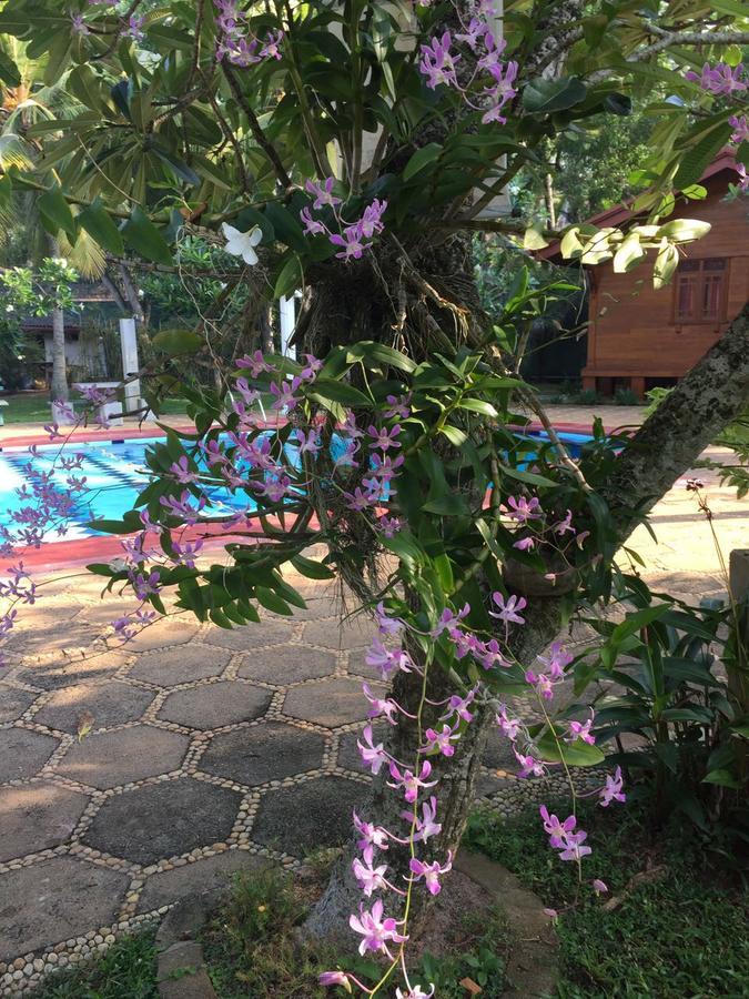 Ypsylon Tourist Resort Beruwala Bagian luar foto