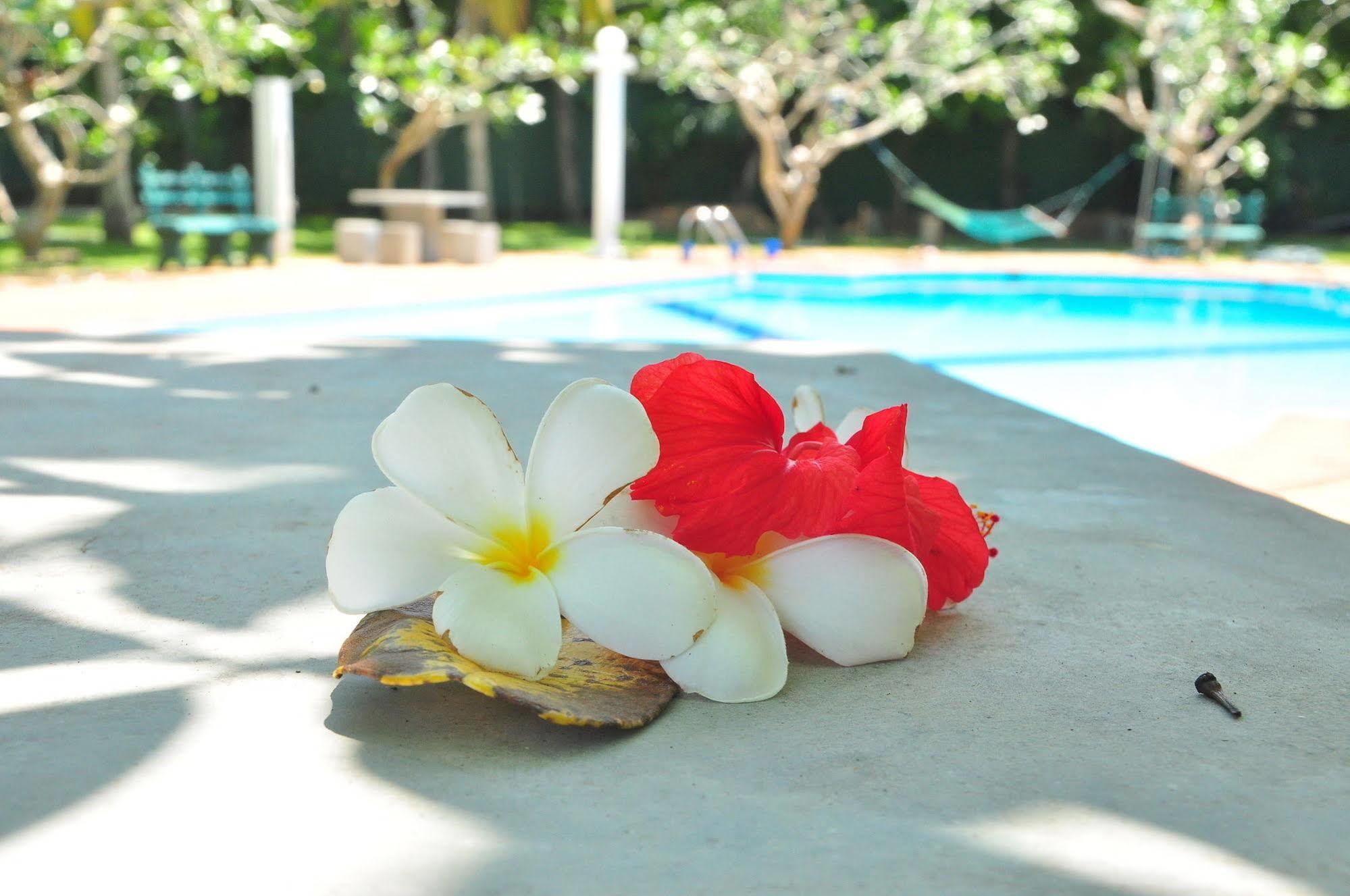 Ypsylon Tourist Resort Beruwala Bagian luar foto